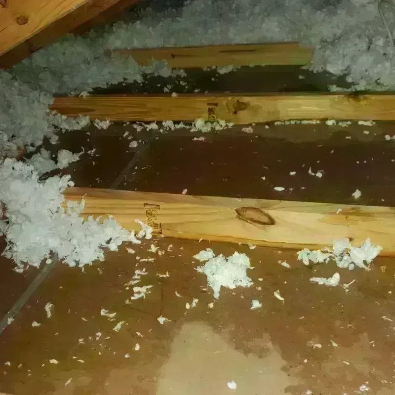 Attic Water Damage in White City, OR